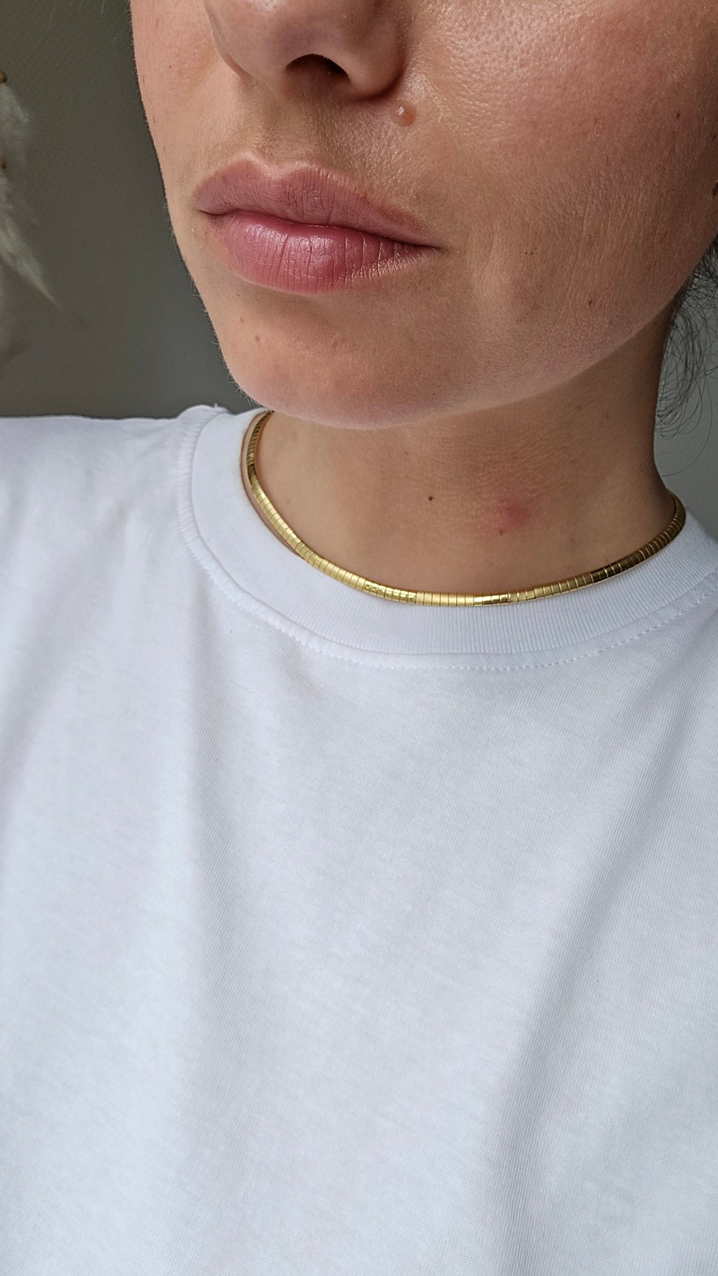 Vintažinis minimalistinis kaklo papuošalas
