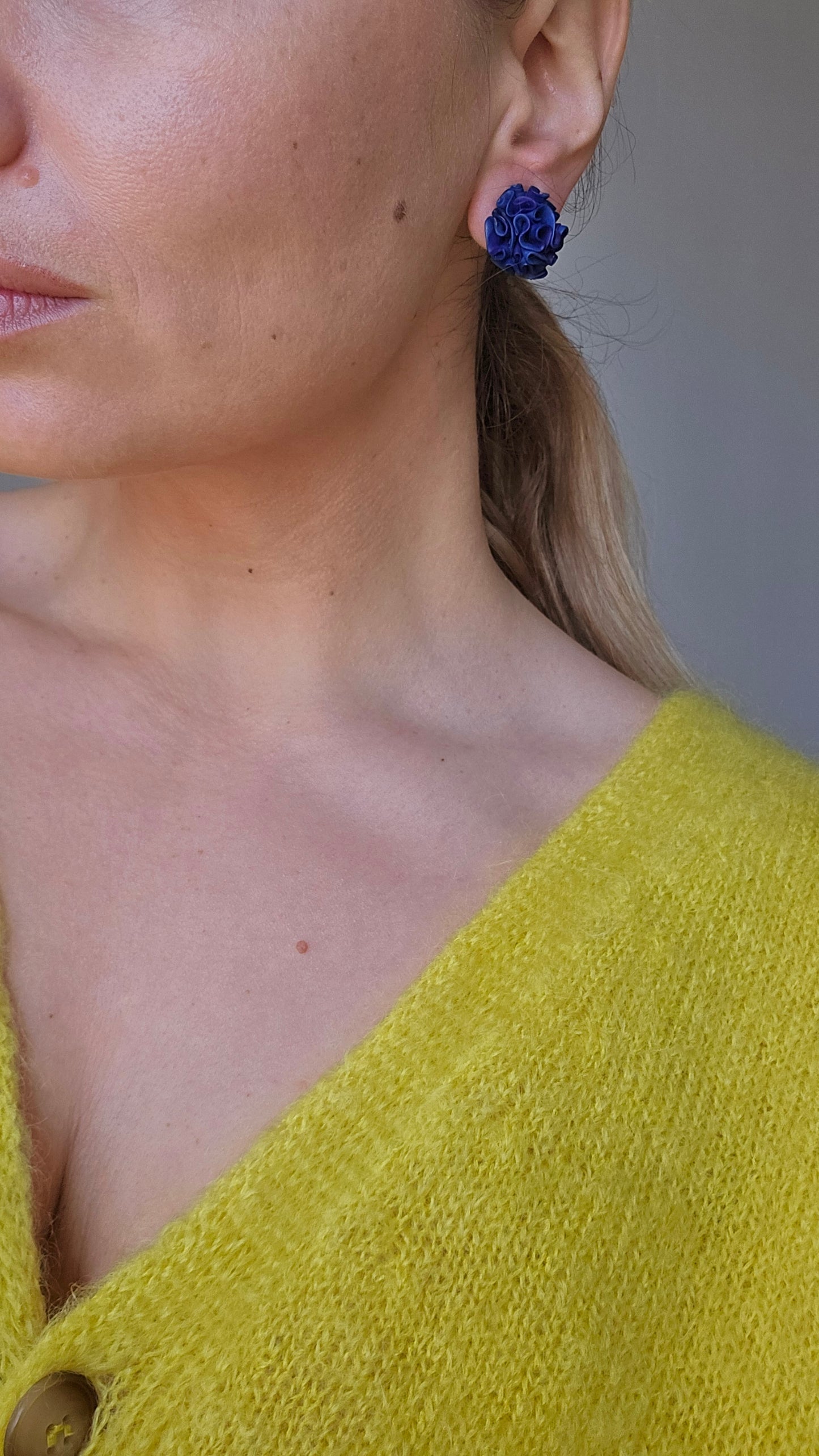 Mėlynos spalvos klipsai