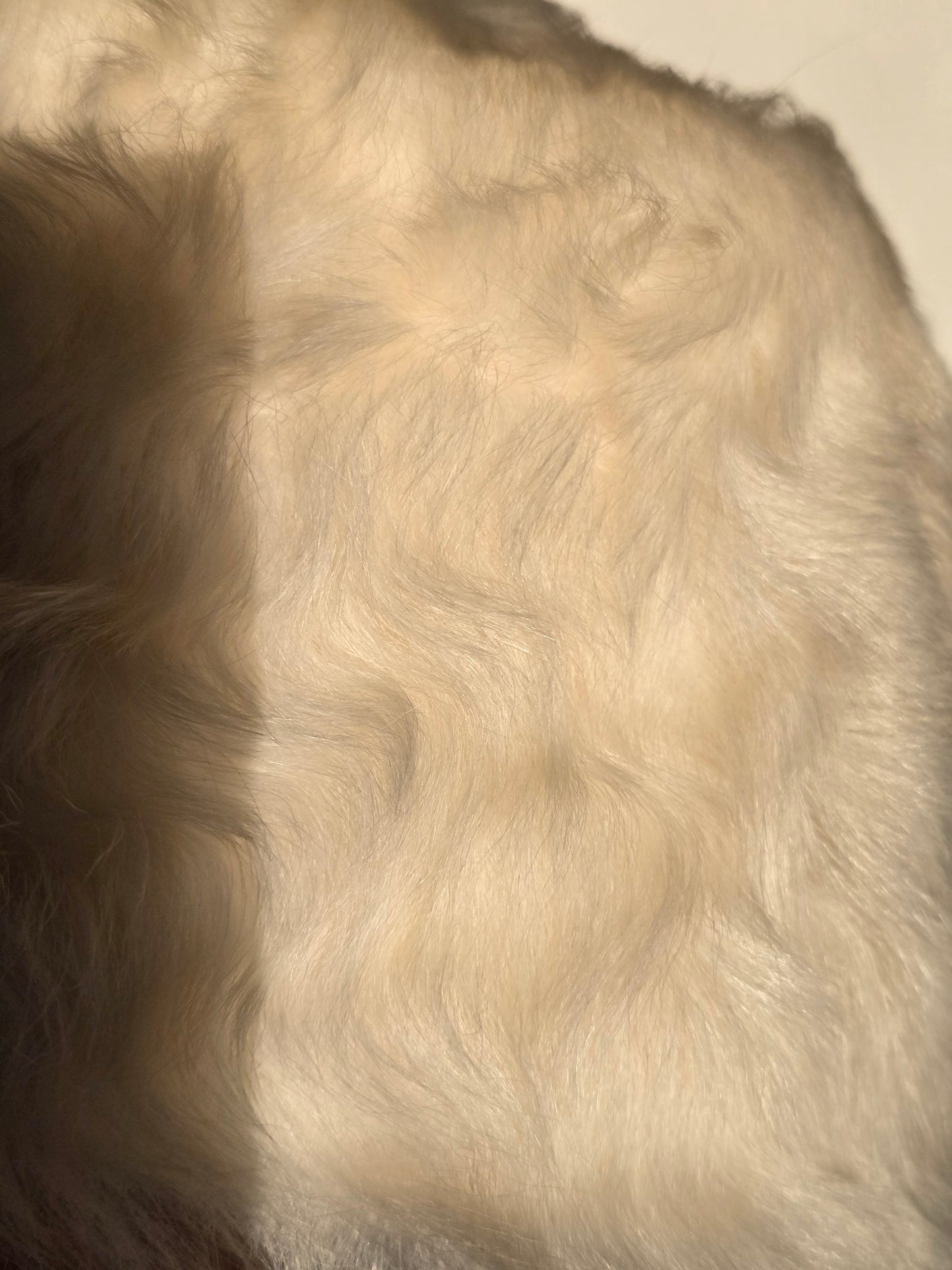 Vintažinė natūralaus kailio kėpurė/Italija