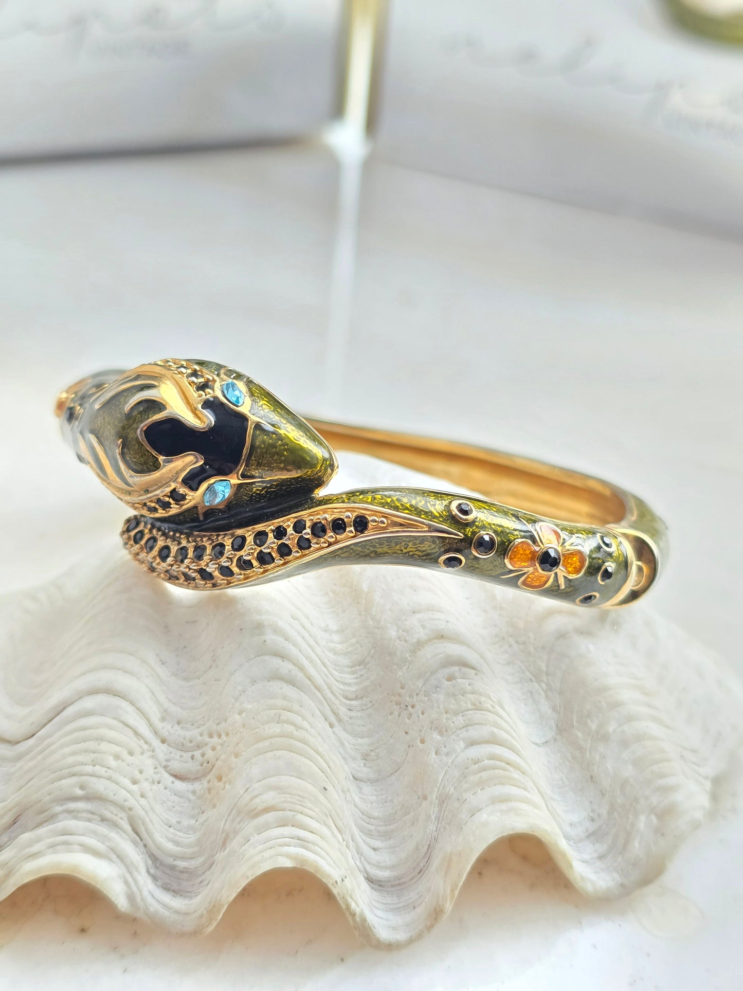 Apyrankė gyvatė dengta emale