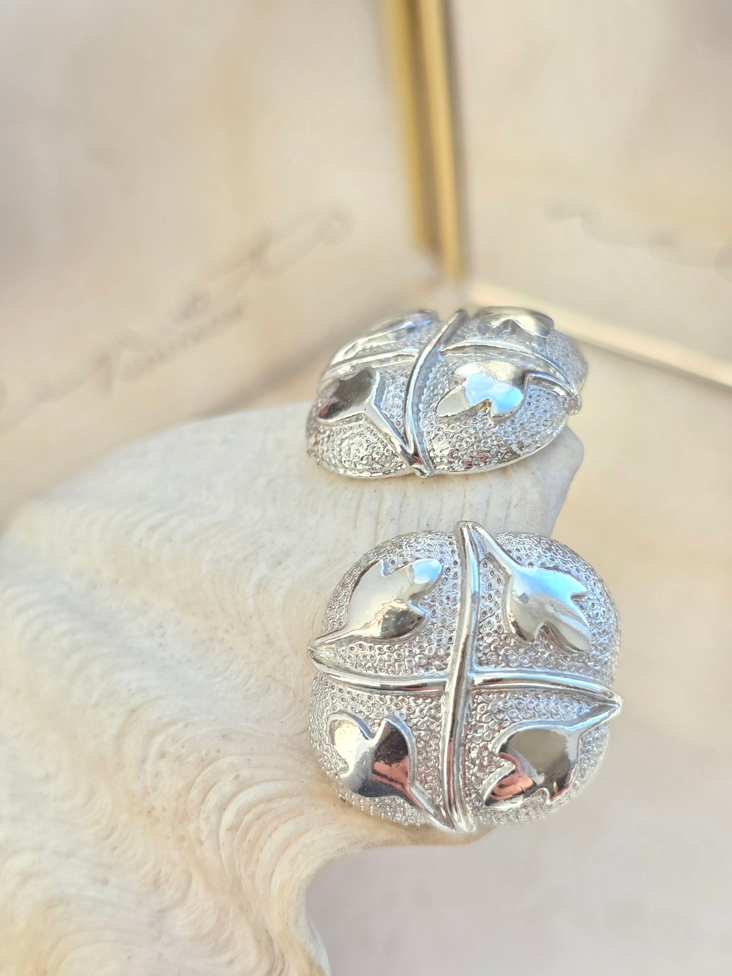 Vintažiniai sidabro spalvos klipsai