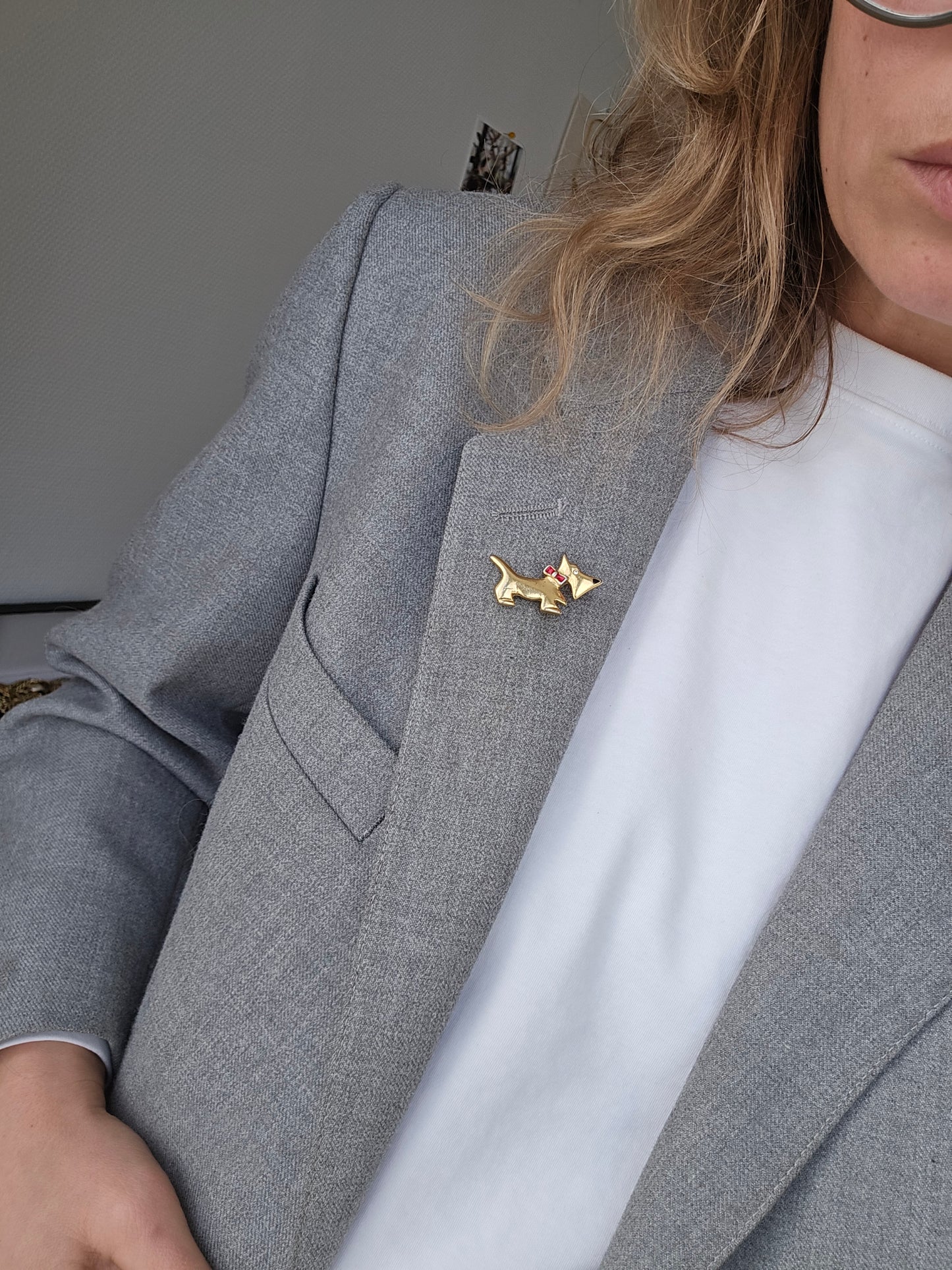 Vintažinė sagė šuo terjeras