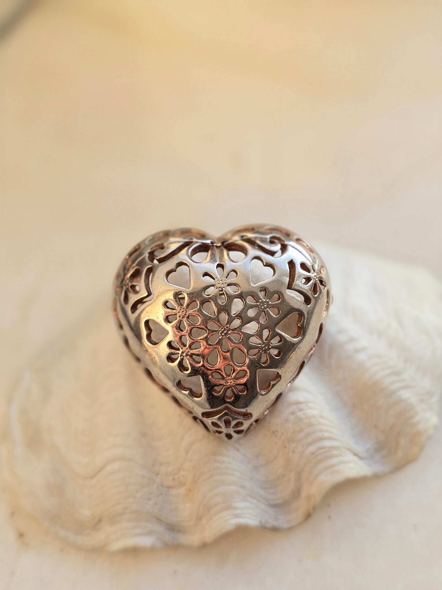 Sidabro spalvos sagė širdis