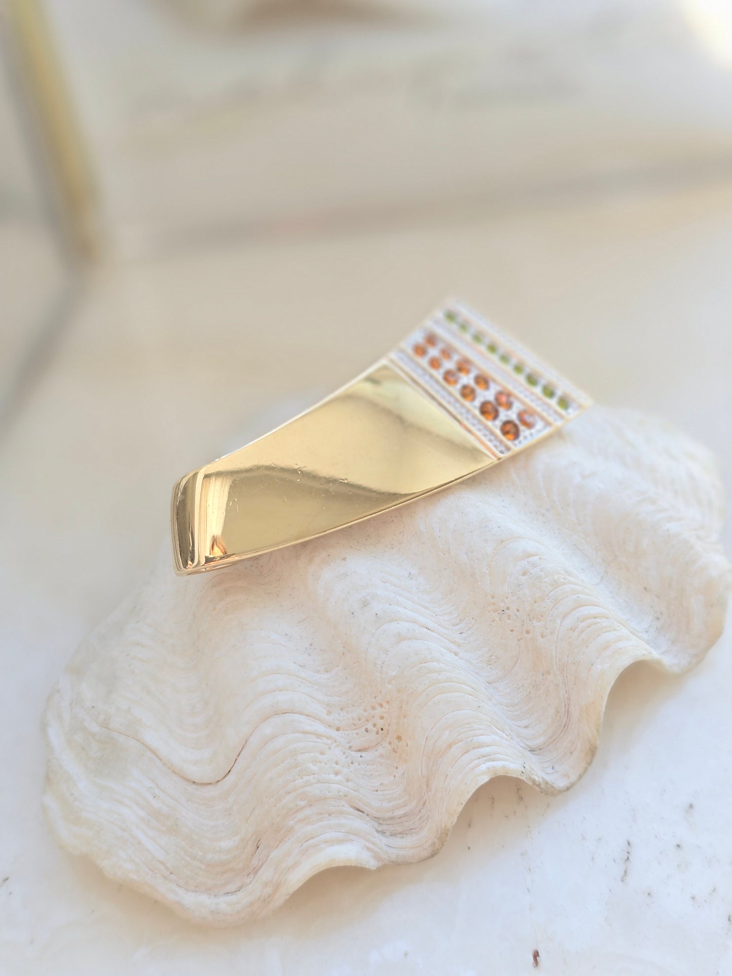 Paauksuota Pierre Lang sagė/kaklo pakabuas