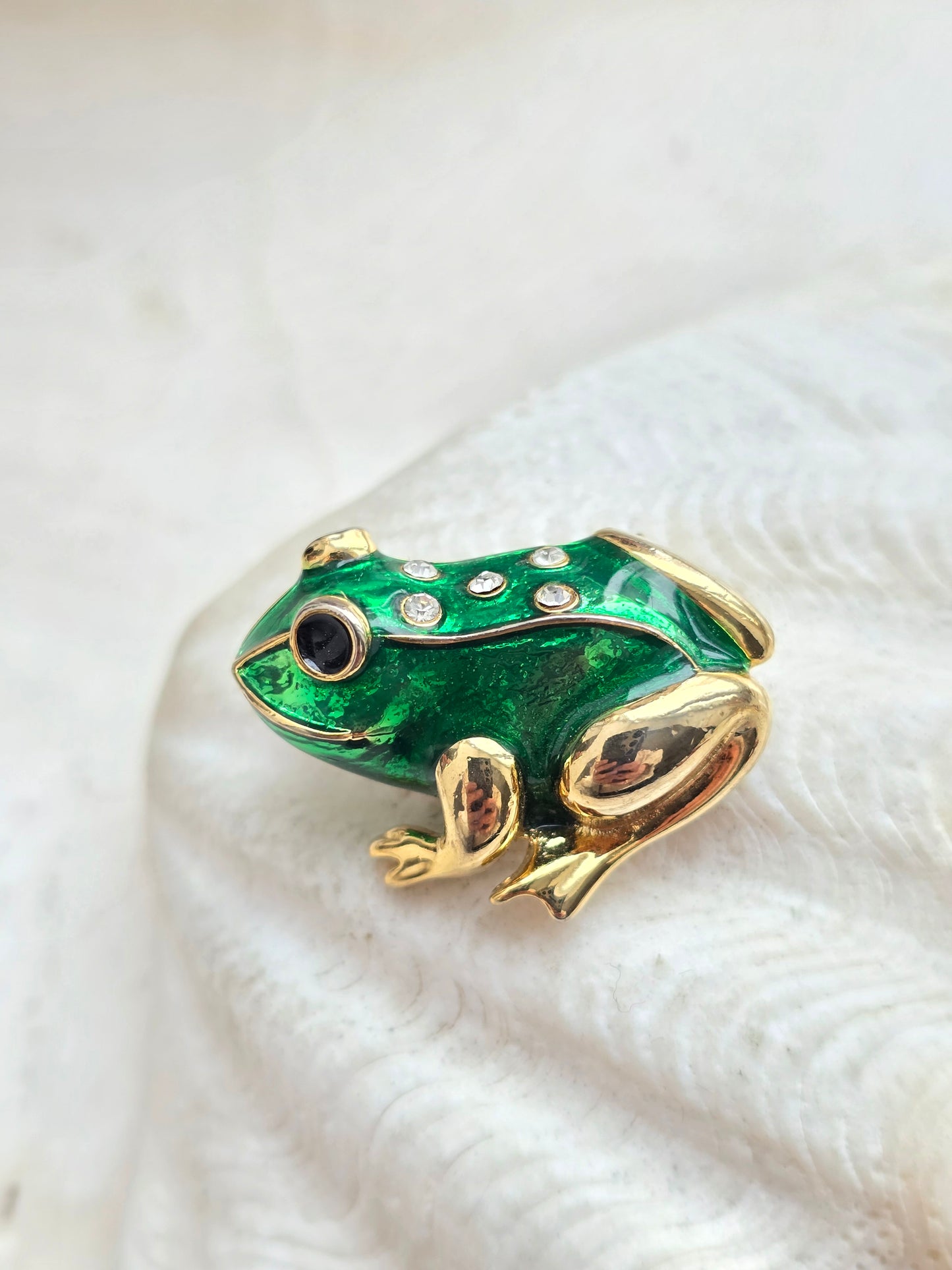 Vintažinė sagė dengta emale varlytė