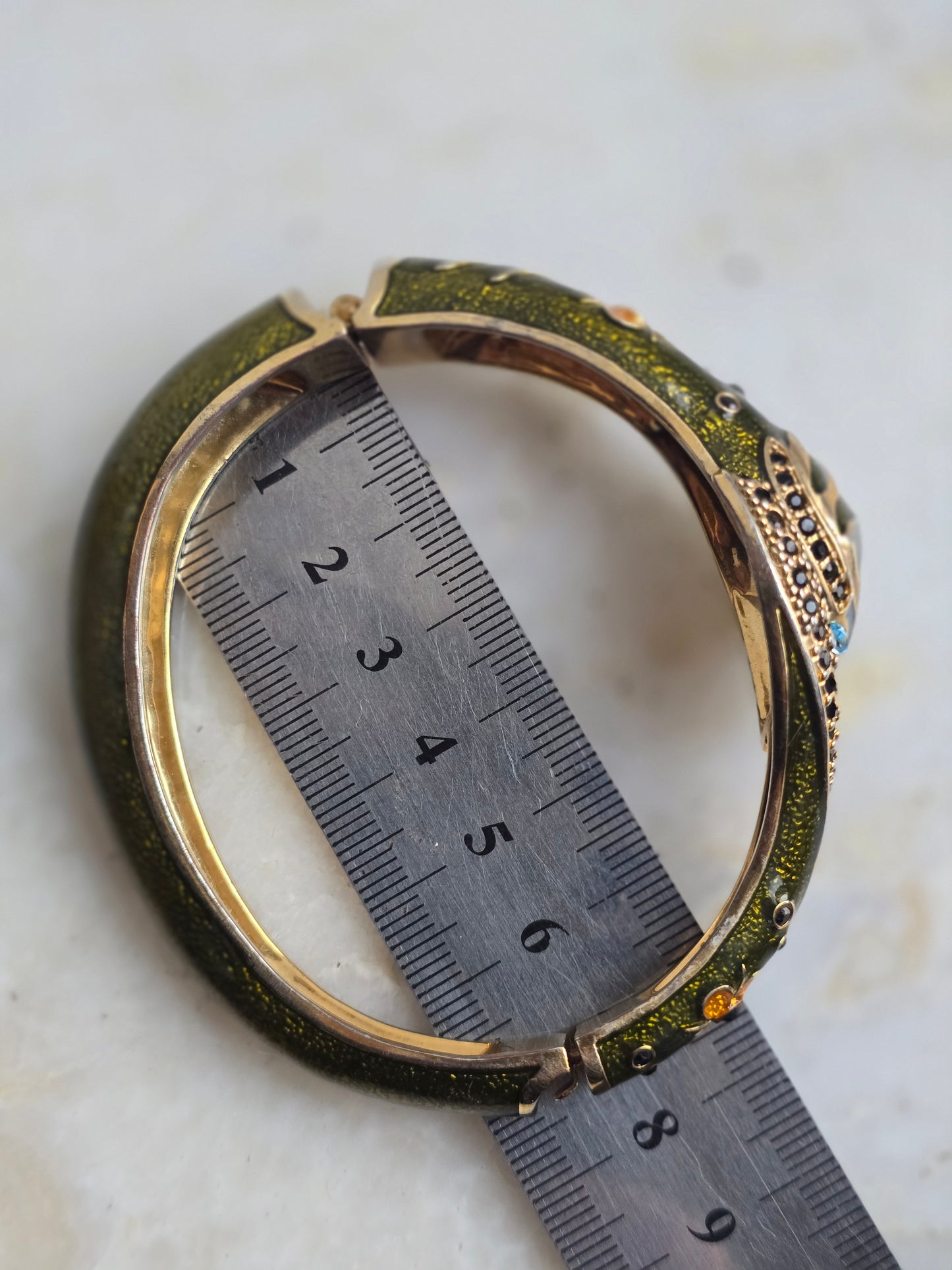 Apyrankė gyvatė dengta emale