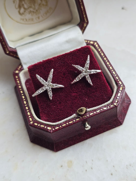 Sidabro spalvos Swarovski auskarai jūros žvaigždės