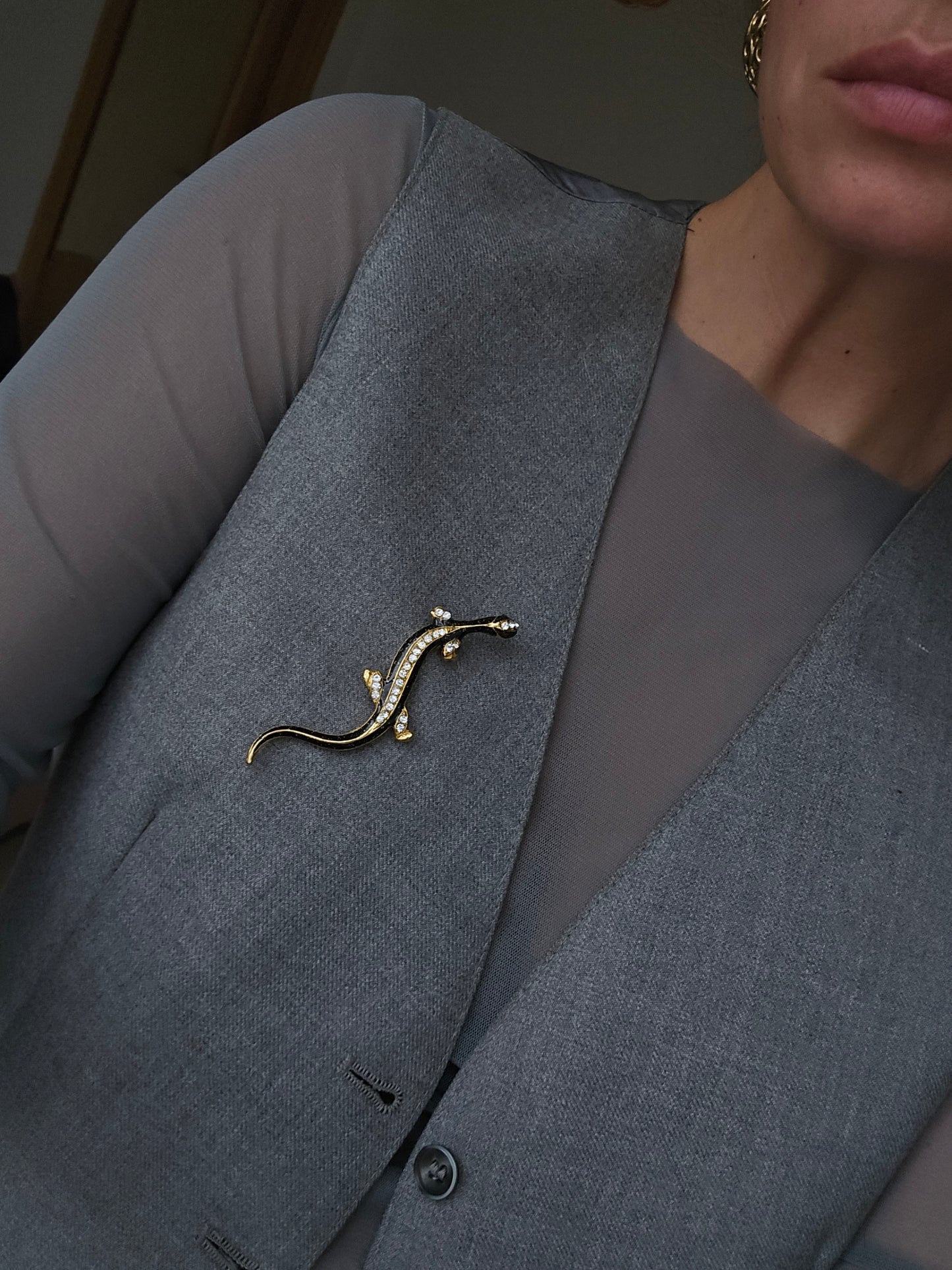 Aukso spalvos sagė driežas