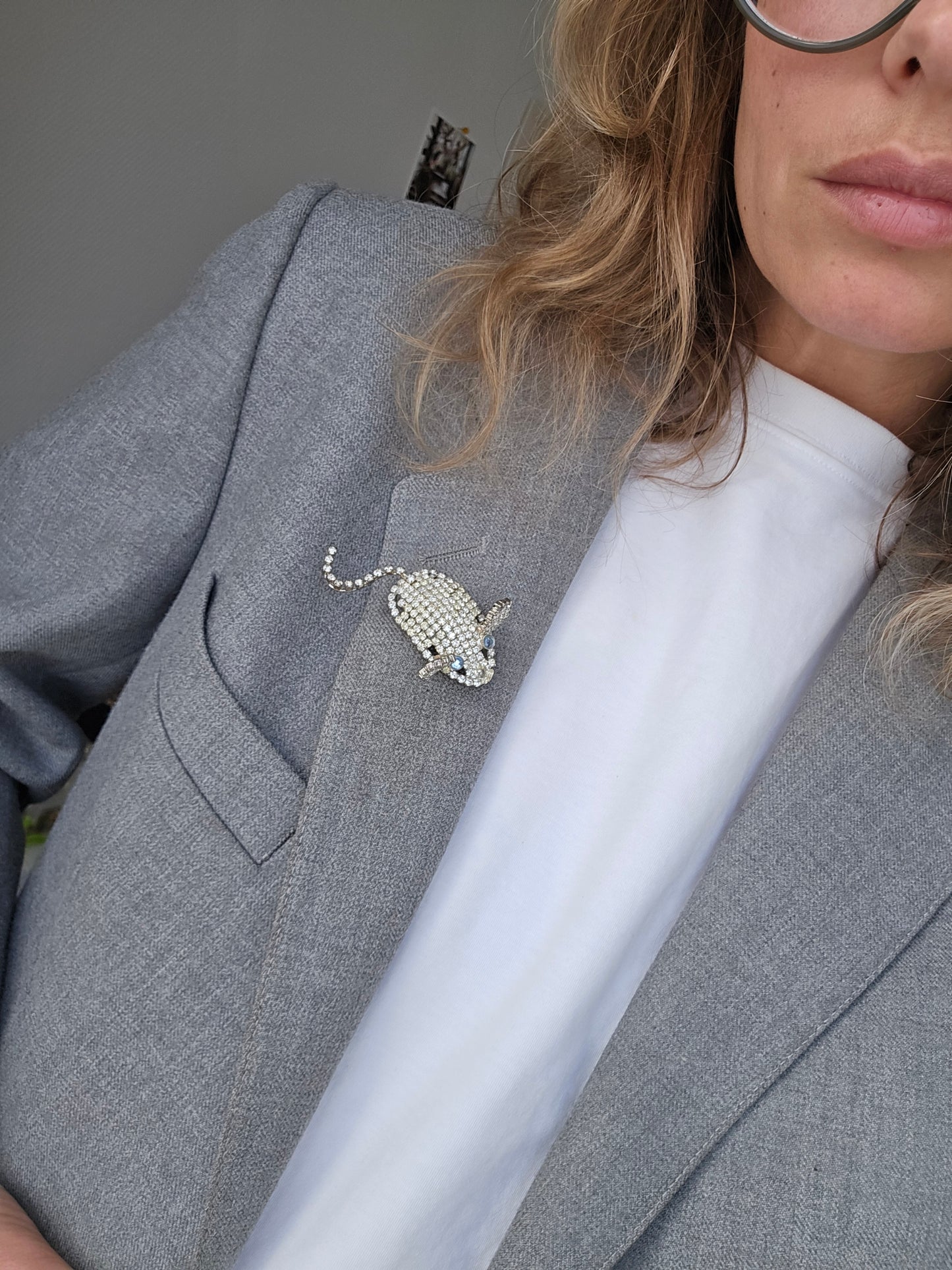 Sidabro spalvos sagė pelytė