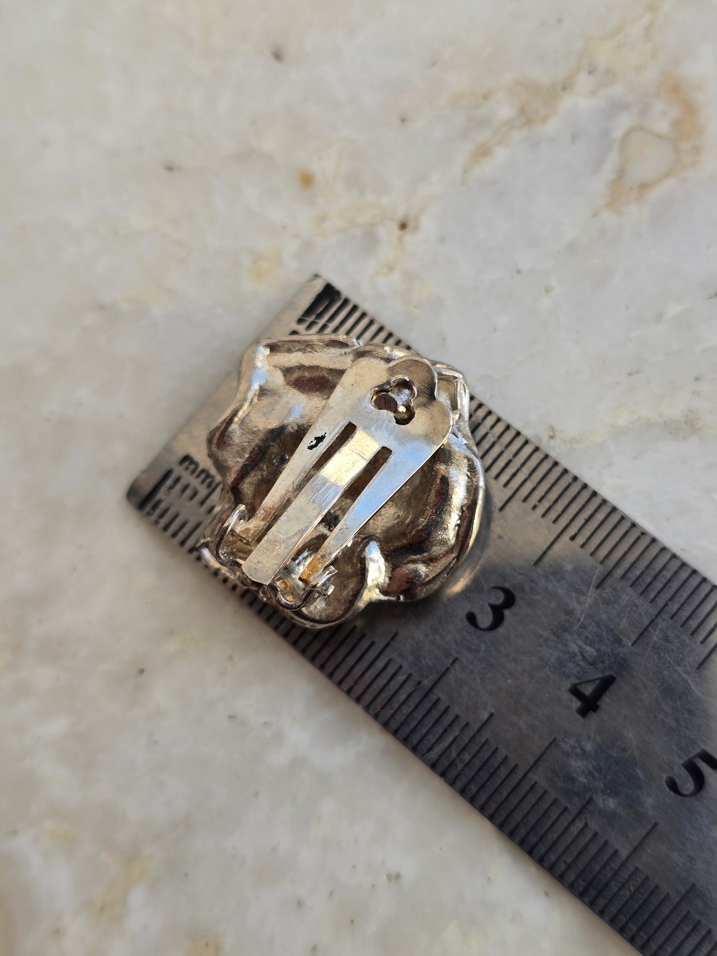 Sidabro spalvos auskarai rožės