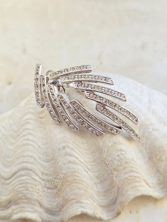 Rodžiuoti PIERRE LANG klipsai su kristalais