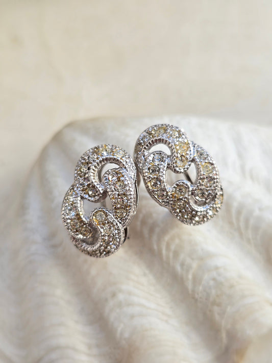 Sidabro spalvos auskarai