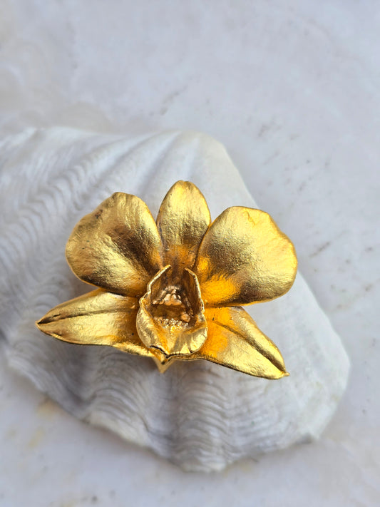 Sagė  orchidėja RISIS tikras gėlės žiedas dengtas 22k auksu