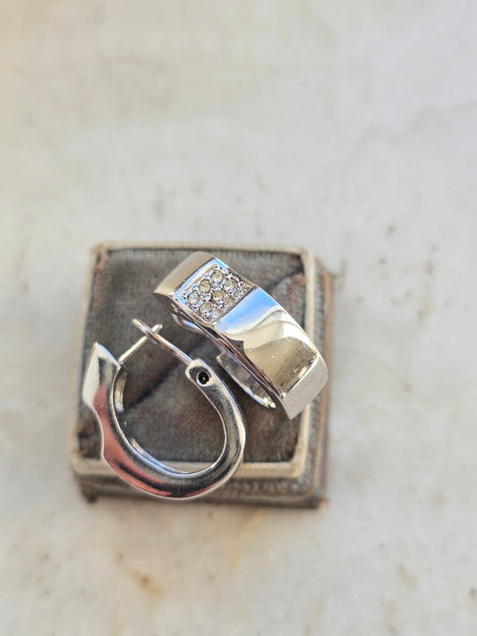 Rodžiuoti PIERRE LANG auskarai