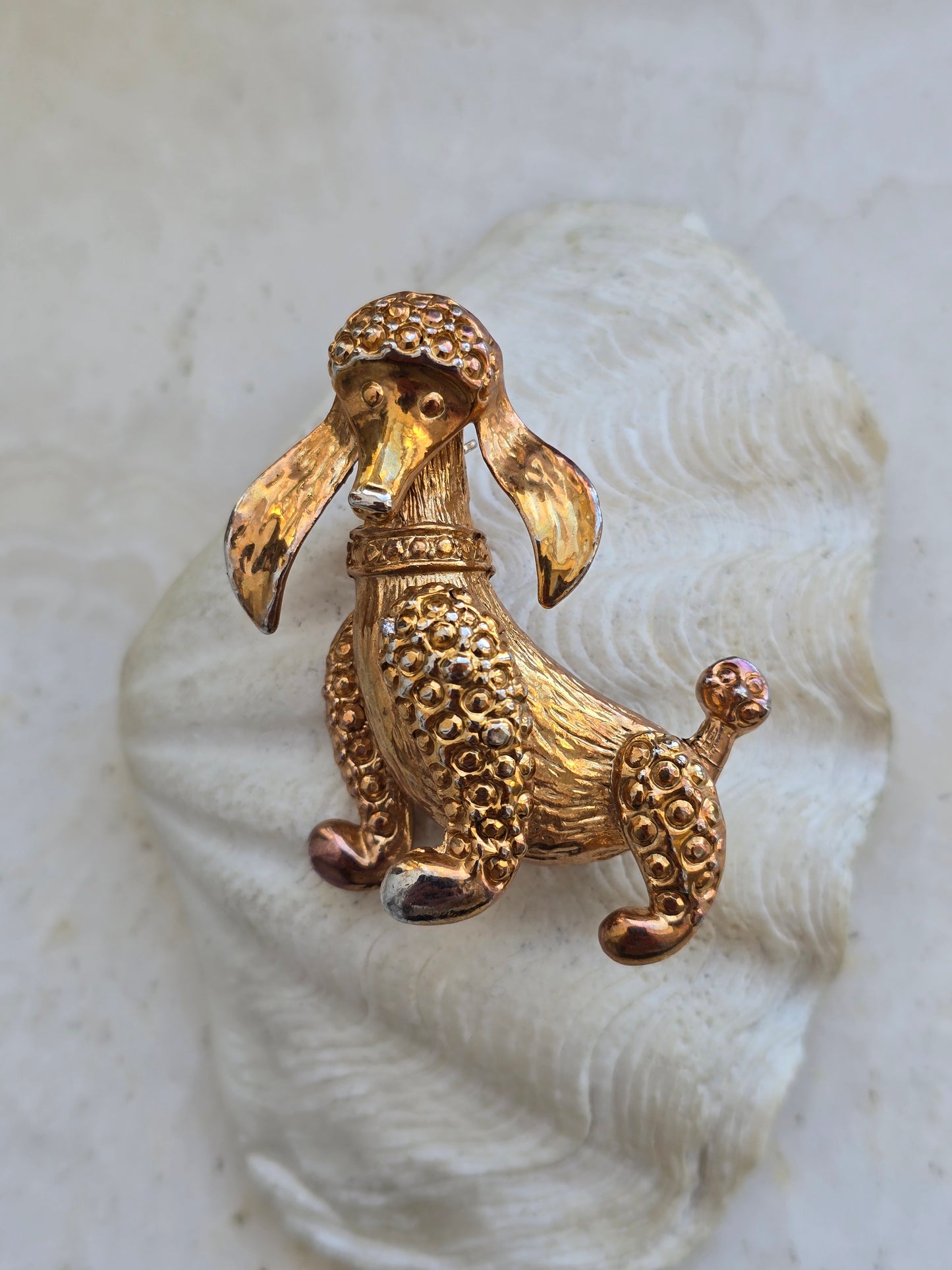 Vintažinė sagė pudelis