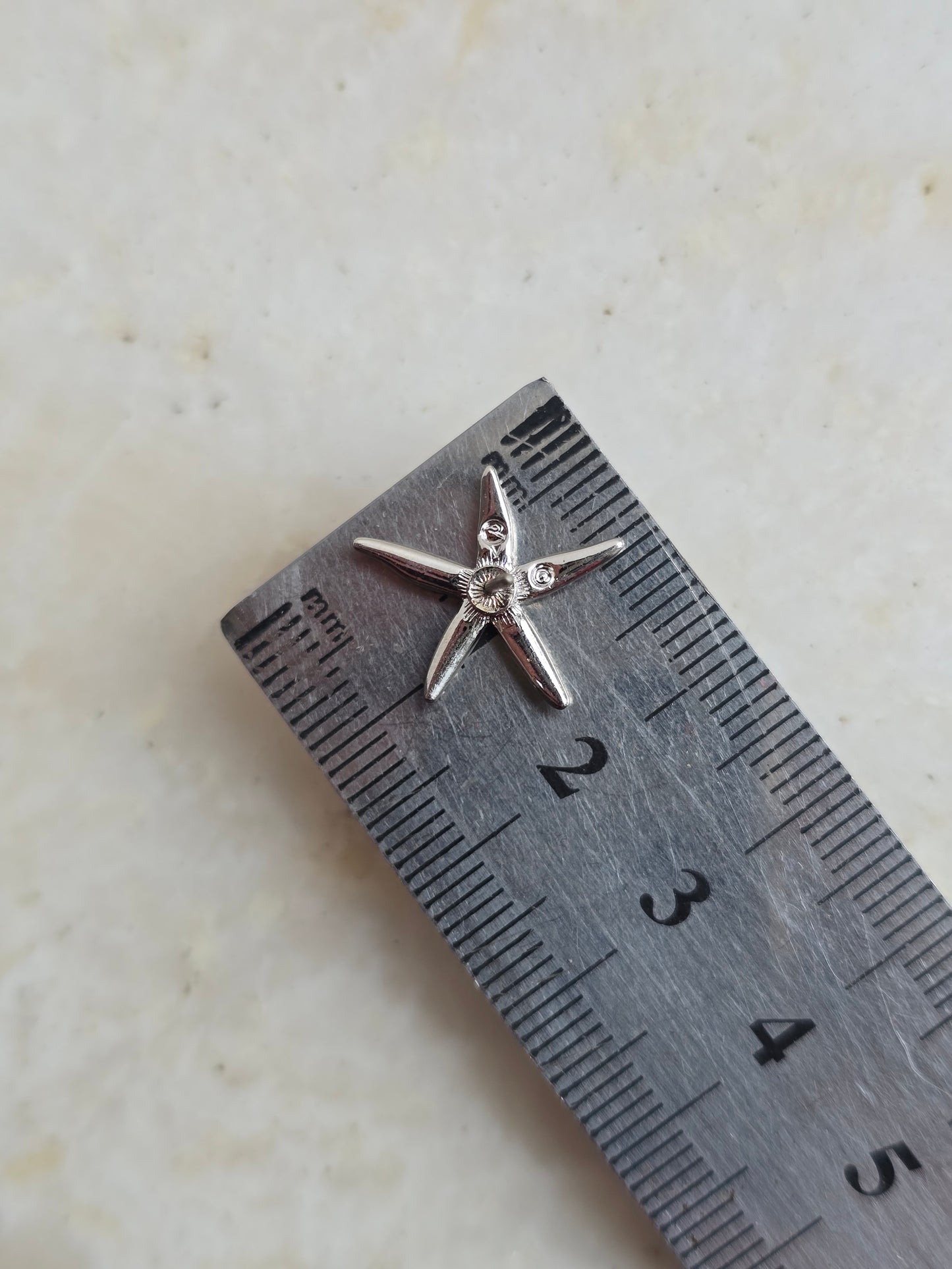 Sidabro spalvos Swarovski auskarai jūros žvaigždės