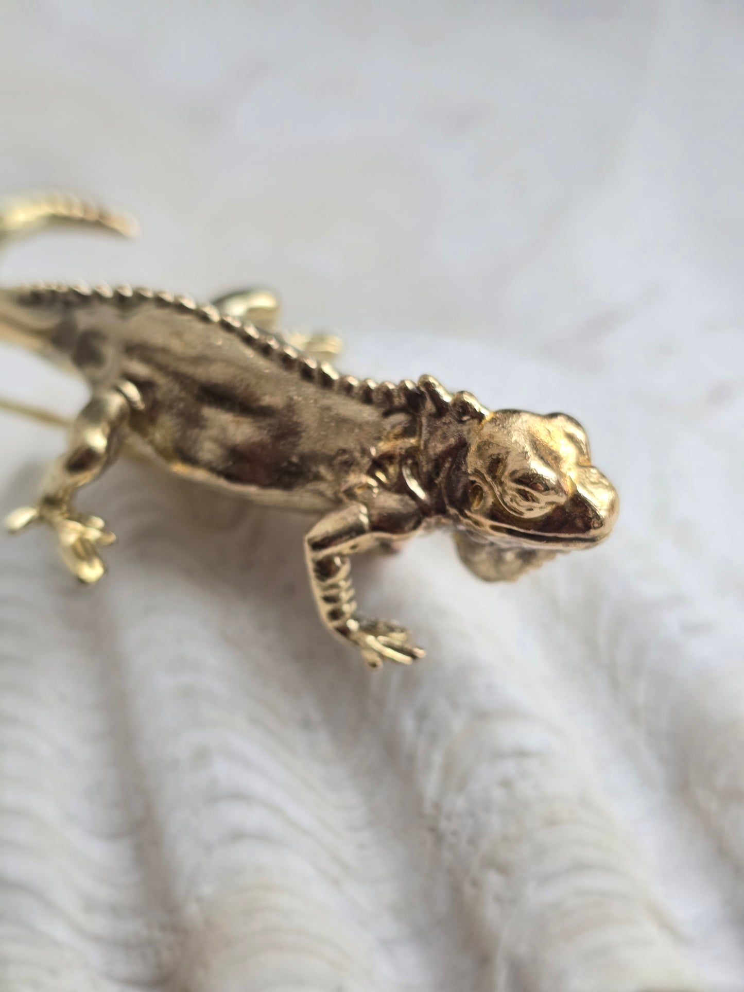 Aukso spalvos sagė smeigtukas iguana