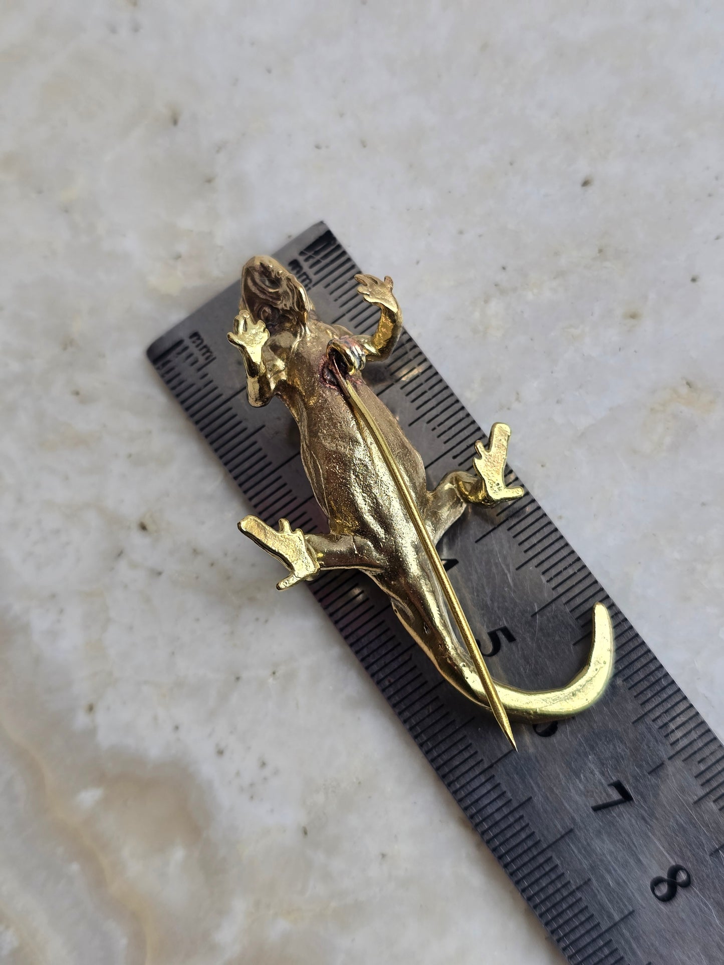 Aukso spalvos sagė smeigtukas iguana