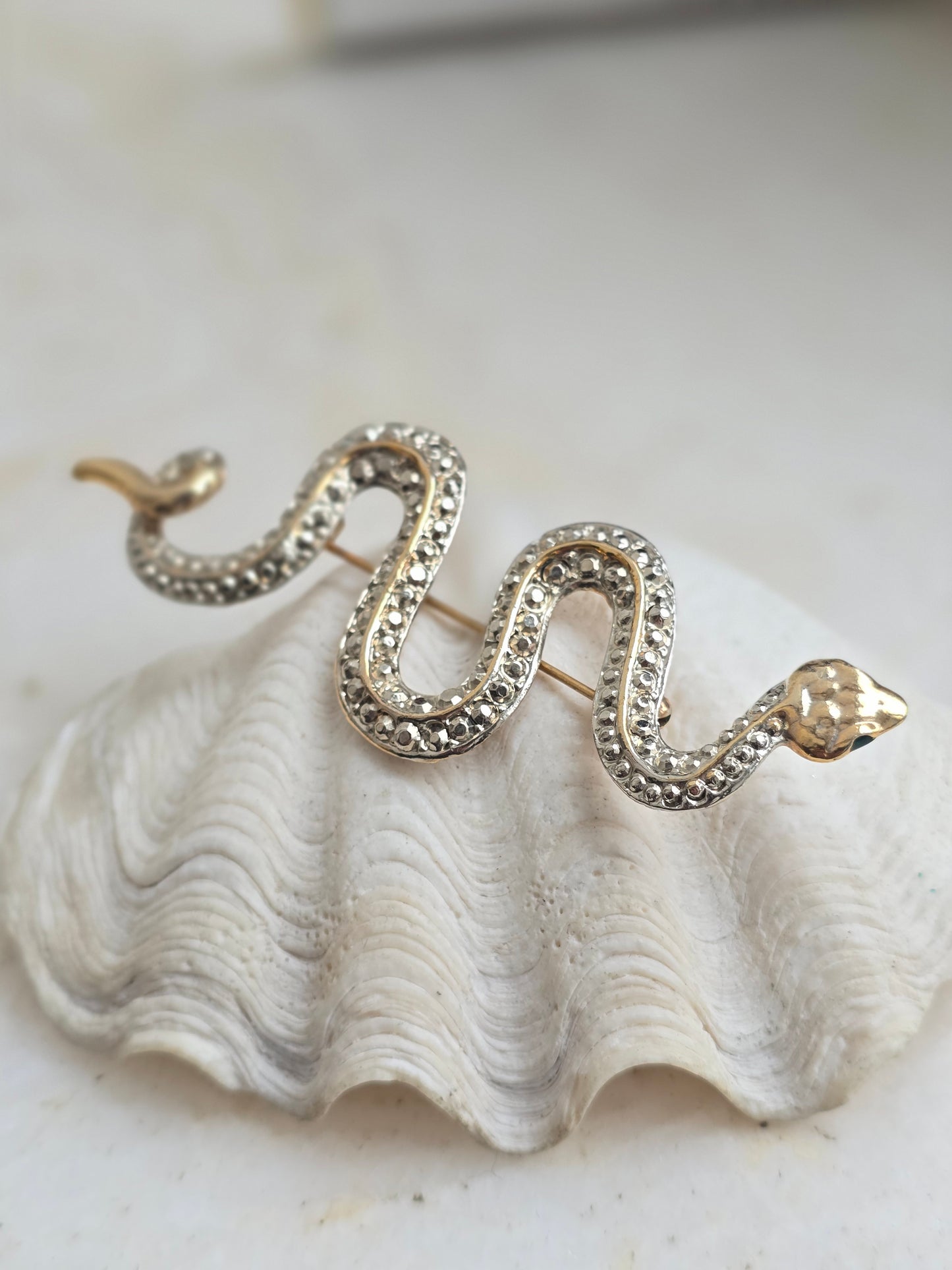 Aukso spalvos sagė gyvatė