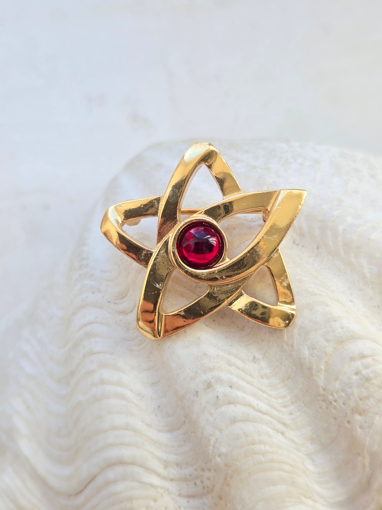 Vintažinė PALOMA PICASSO sagė žvaigždė