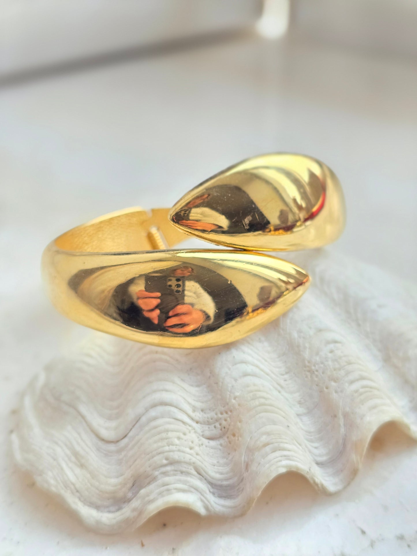 Aukso spalvos apyrakė gyvatės galvos