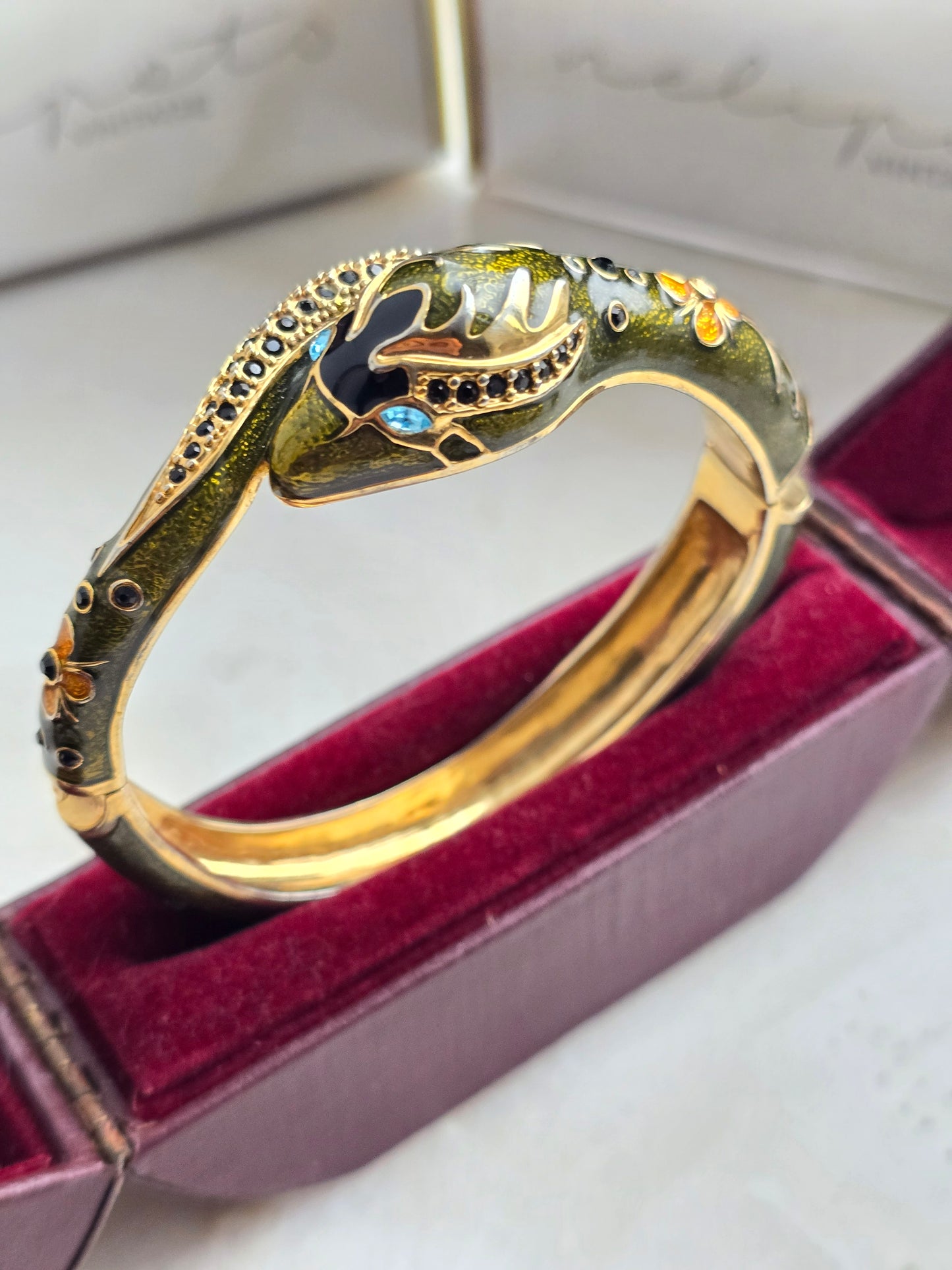 Apyrankė gyvatė dengta emale