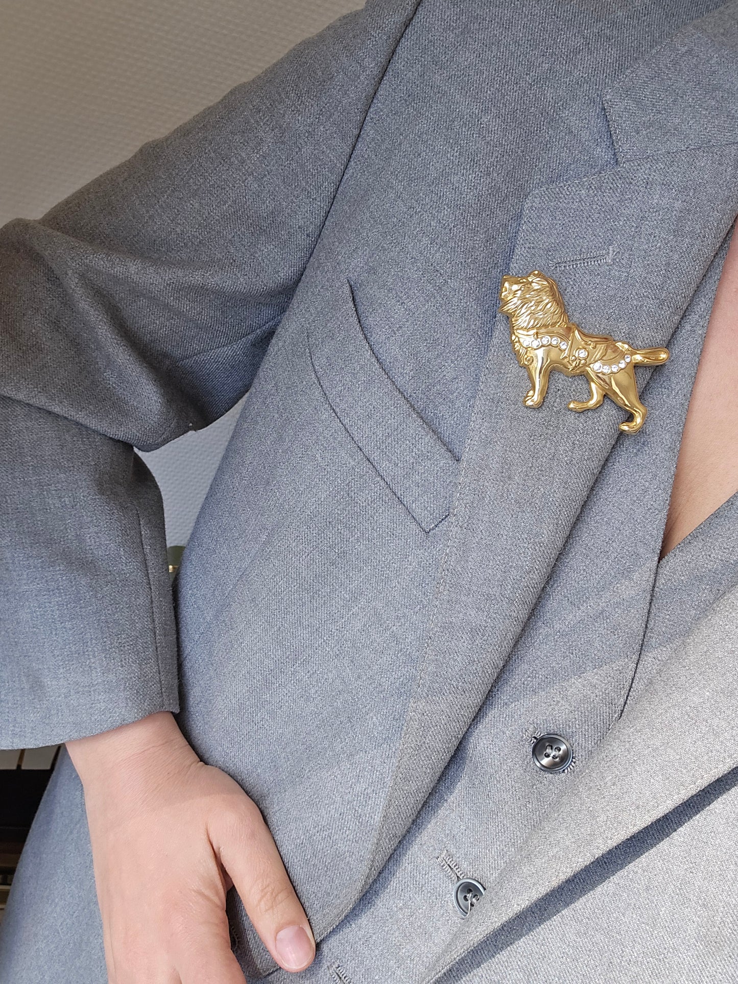 Aukso spalvos sagė liūtas
