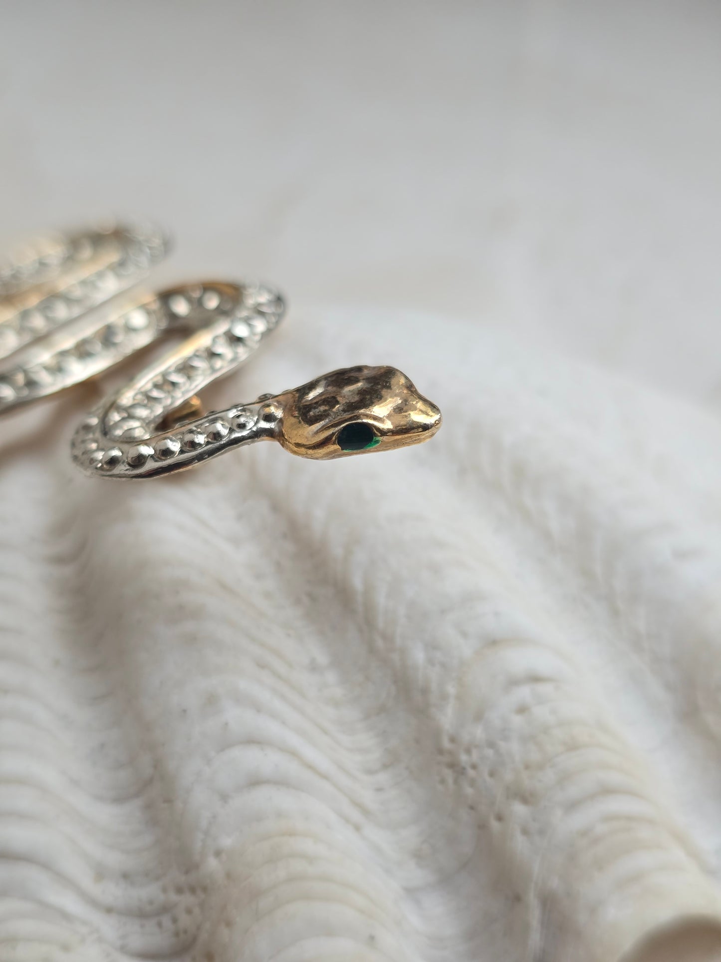 Aukso spalvos sagė gyvatė