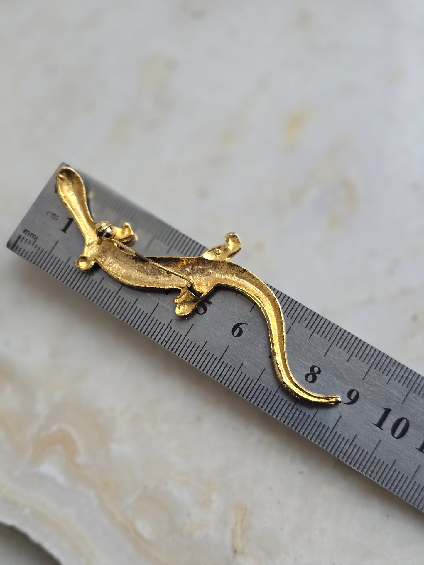 Aukso spalvos sagė driežas