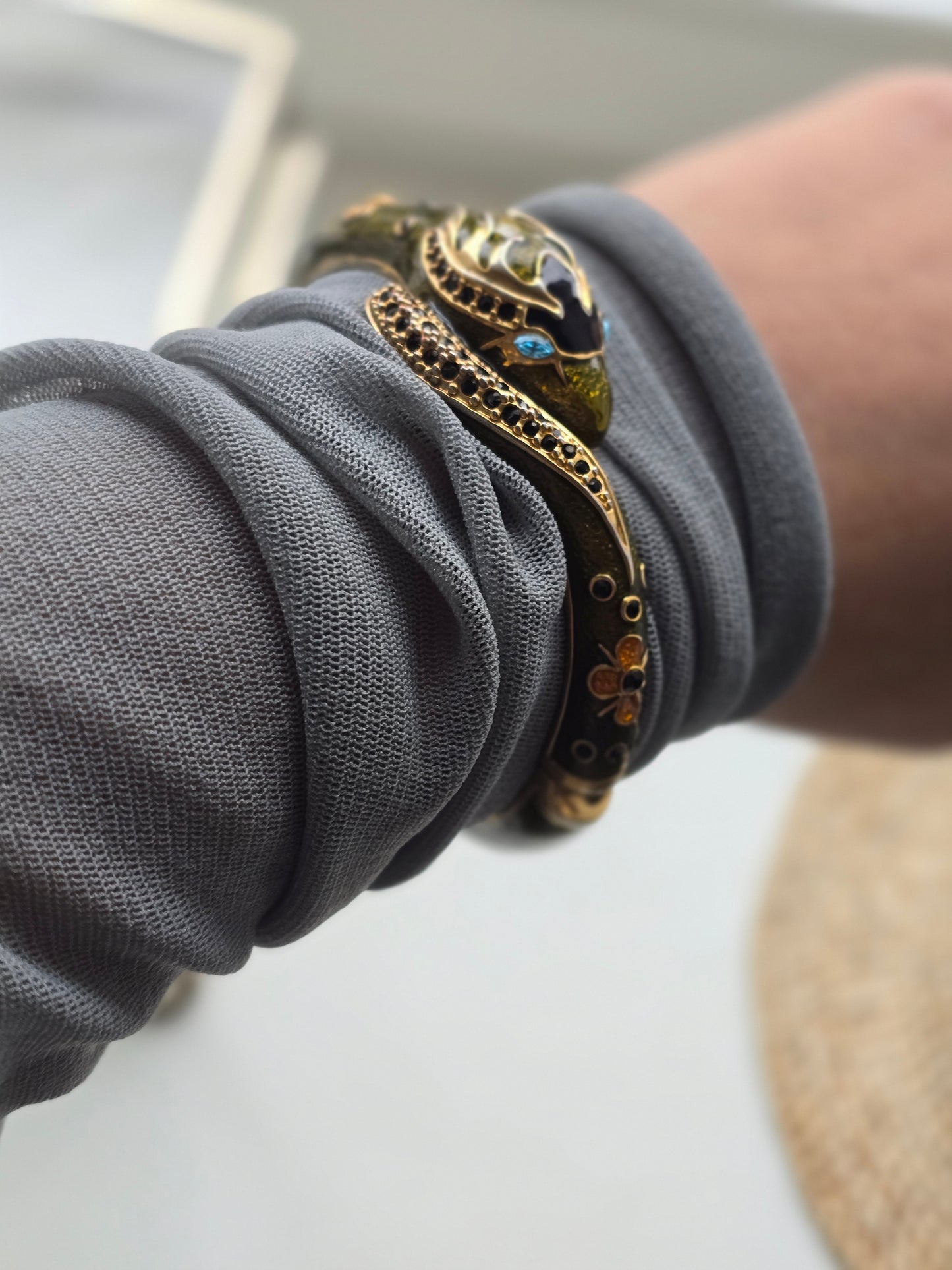 Apyrankė gyvatė dengta emale