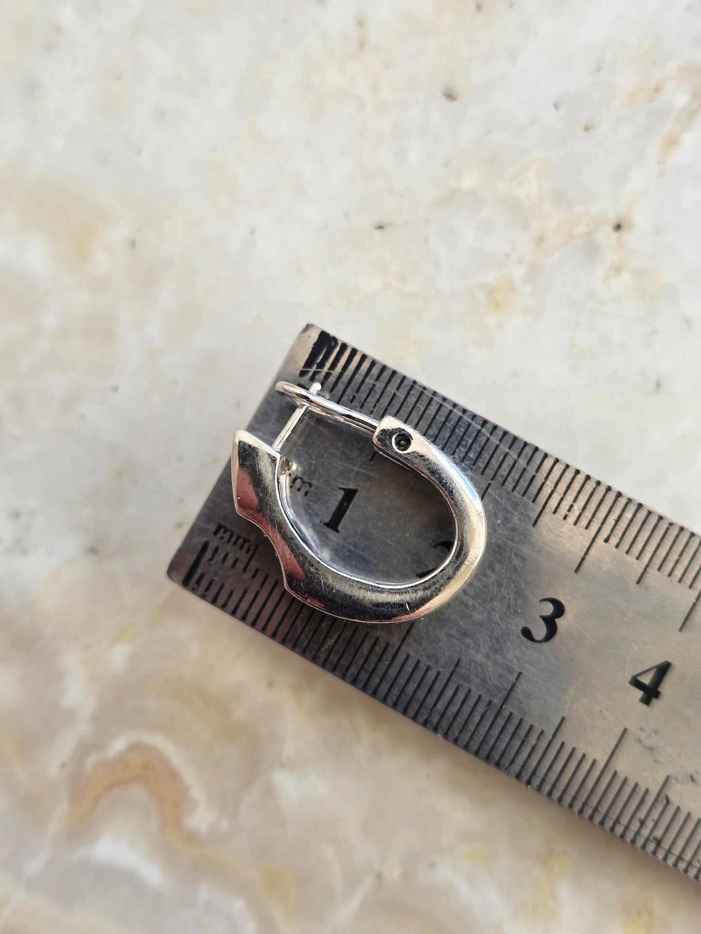 Rodžiuoti PIERRE LANG auskarai